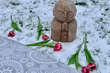 BOLSTER MANDALA šedá - plněný pohankou